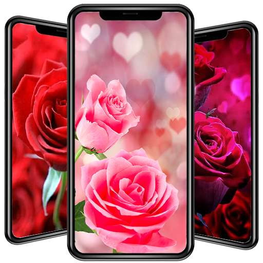 Pink Rose Live Wallpaper HD Android App APK comPinkRoseLiveWallpaperHD  by Cute Princess Apps  Download on PHONEKY