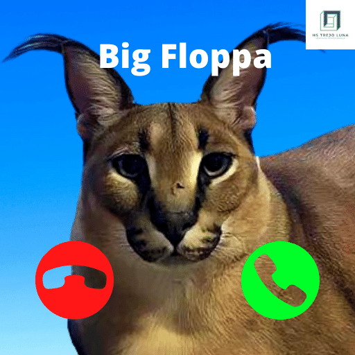 Big floppa -  México