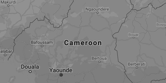 Cameroon map