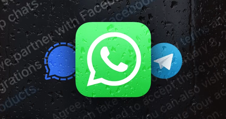 The impact of WhatsApp T&C update